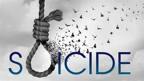 Hampshire High School Death - Student Died by Suicide In Illinois Community